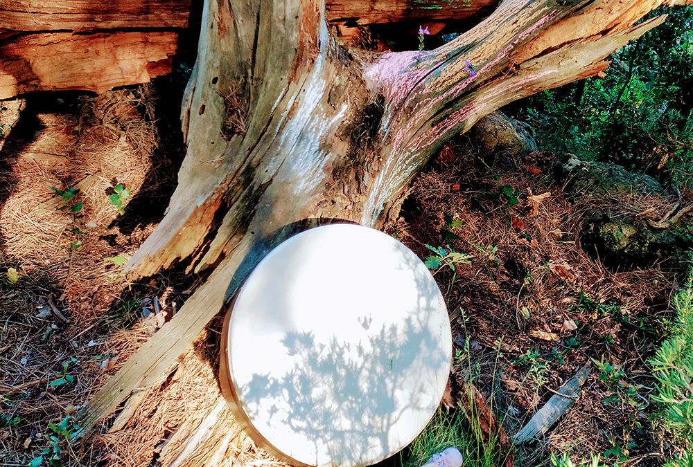 le son du tambourin pour un bain de forêt